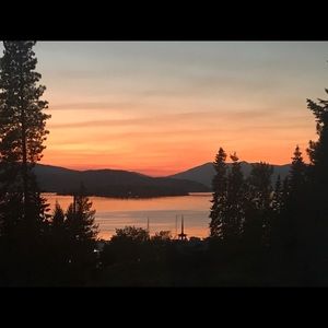 Meet your Posher, Cody